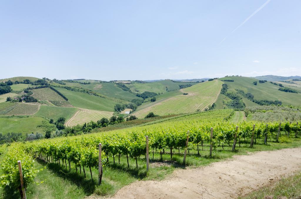 Villa Agriturismo Ca'De'Gatti Faenza Exterior foto