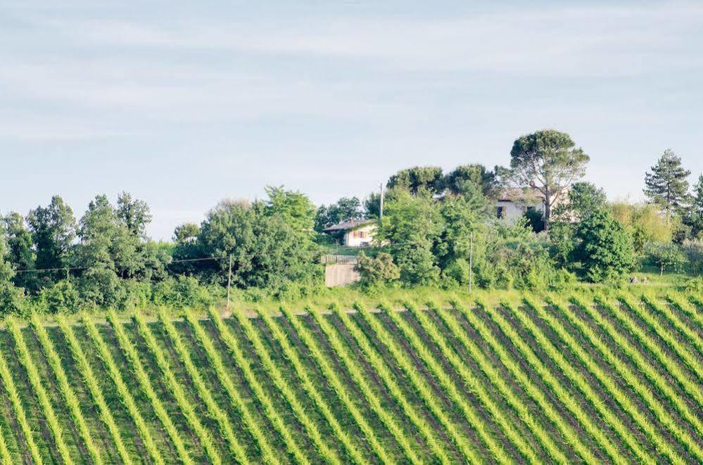 Villa Agriturismo Ca'De'Gatti Faenza Exterior foto