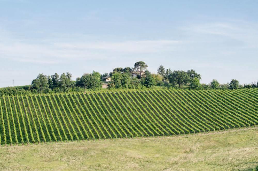 Villa Agriturismo Ca'De'Gatti Faenza Exterior foto